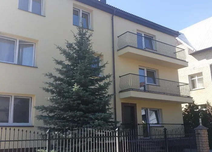 Loreta * פלאנגה